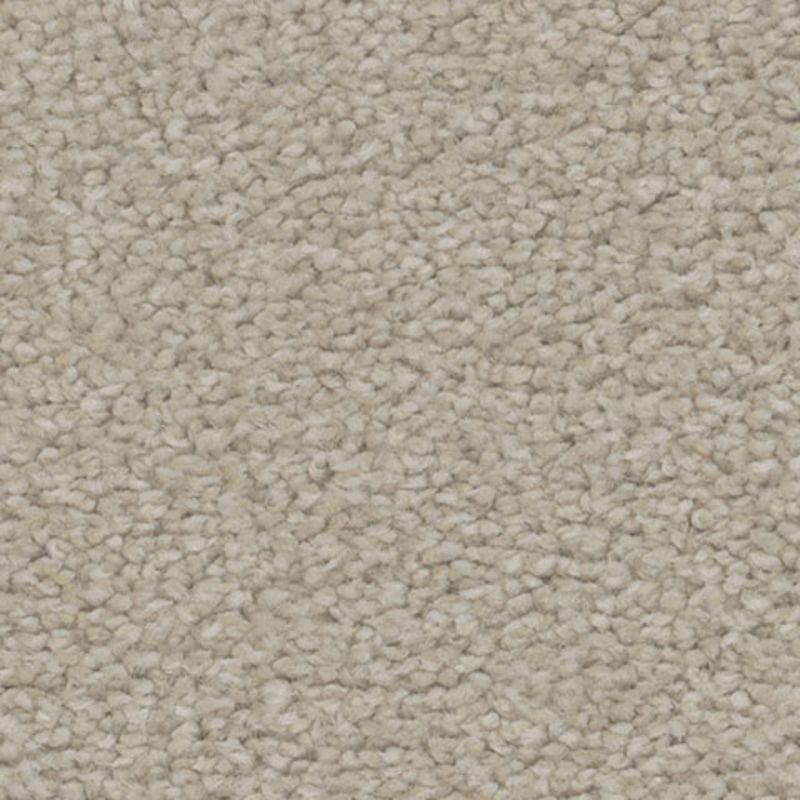 Tarkett Home TH913 Dazzle Carpet