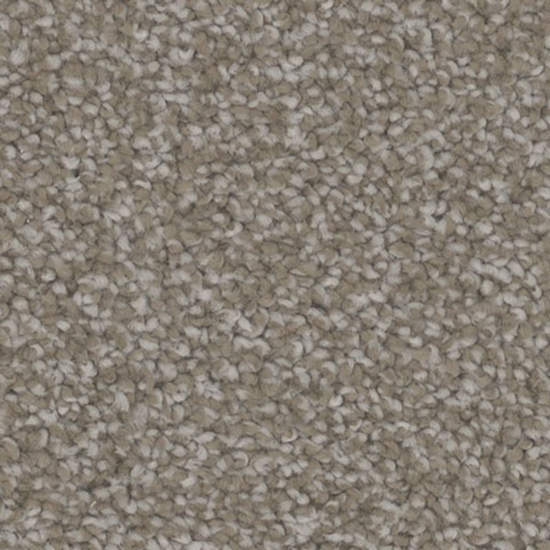 Tarkett Home TH913 Engage Carpet