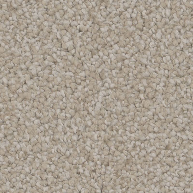 Tarkett Home TH913 Gratify Carpet