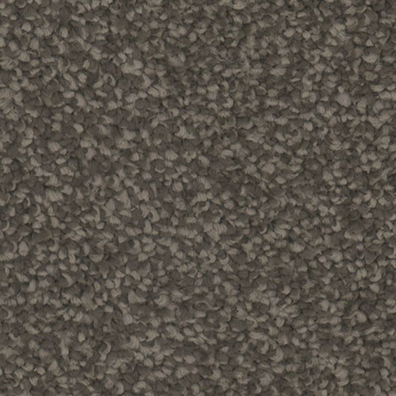 Tarkett Home TH913 Ravish Carpet