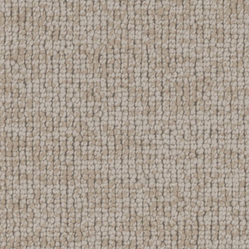 Tarkett Home TH918 Bashful Carpet