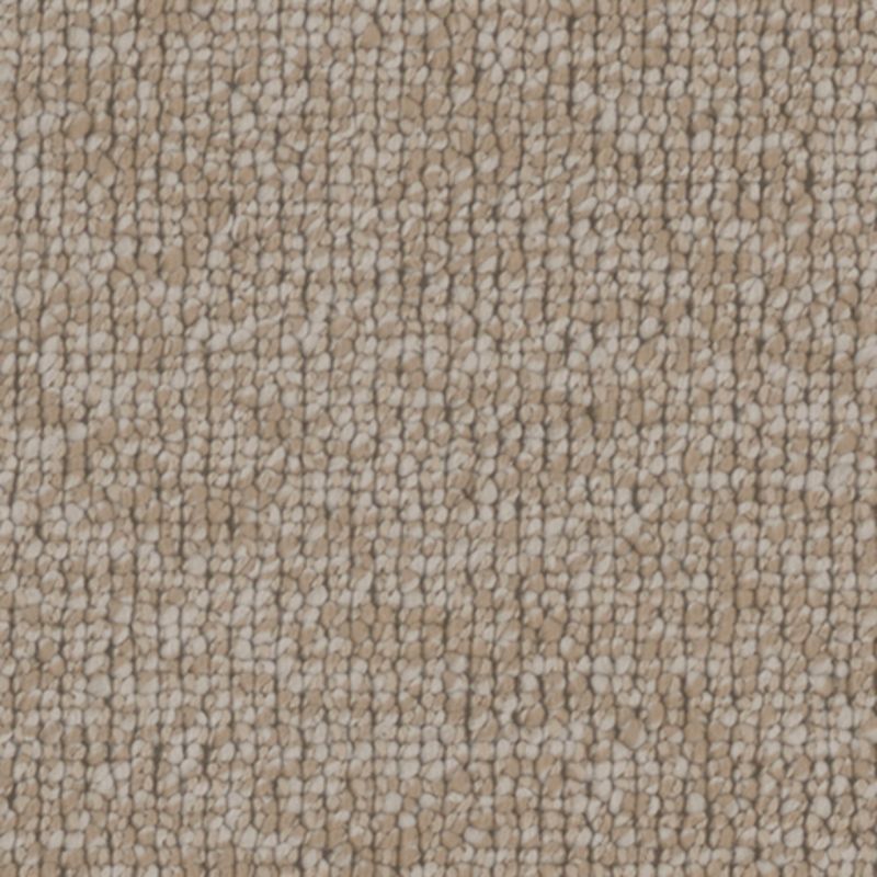 Tarkett Home TH918 Jovial Carpet