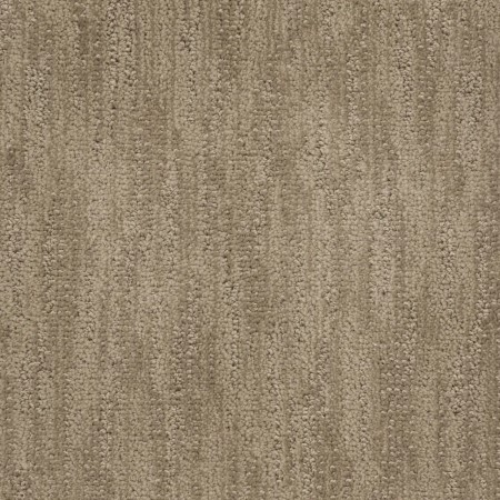 Tarkett Home Tucson Driftscape Carpet