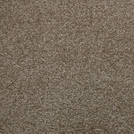 Tarkett Home Whisper Composure Carpet