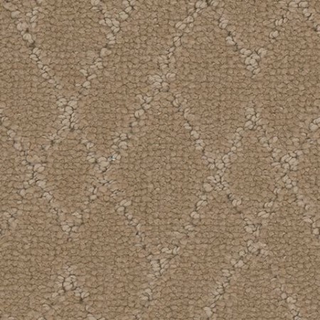 Tarkett Home Windham Nature Carpet