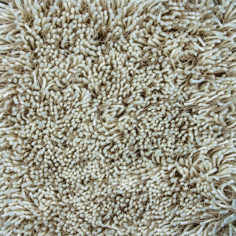 Unique Carpets Shagtastic Allure Tan on White Carpet