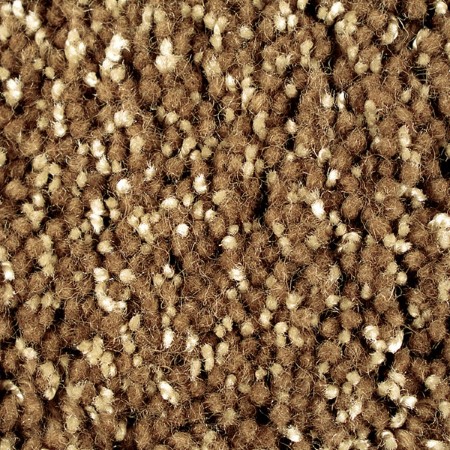 Unique Carpets Shagtastic Aloha Sands Pumice Stone Carpet