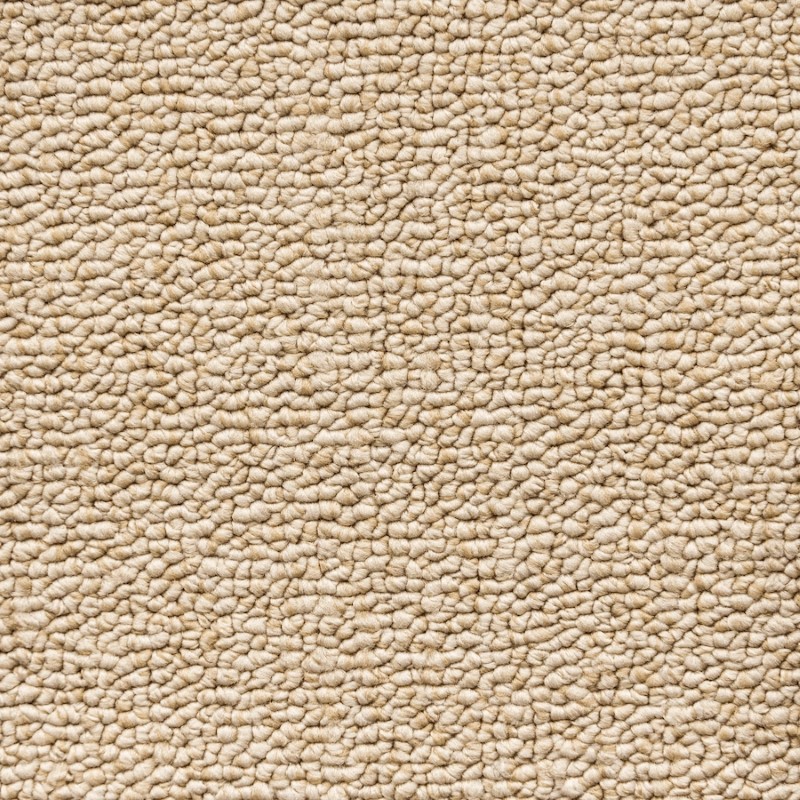 Unique Carpets Tufted Nylon Encore Antique Opal Carpet