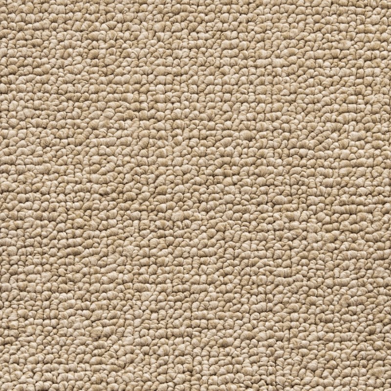 Unique Carpets Tufted Nylon Encore Sandstone Carpet