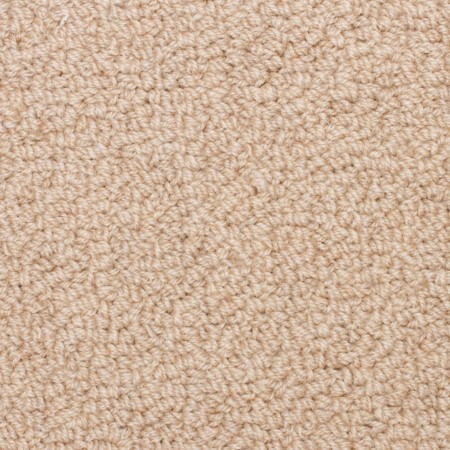 Unique Carpets Tufted Wool Waverly Chamois Carpet