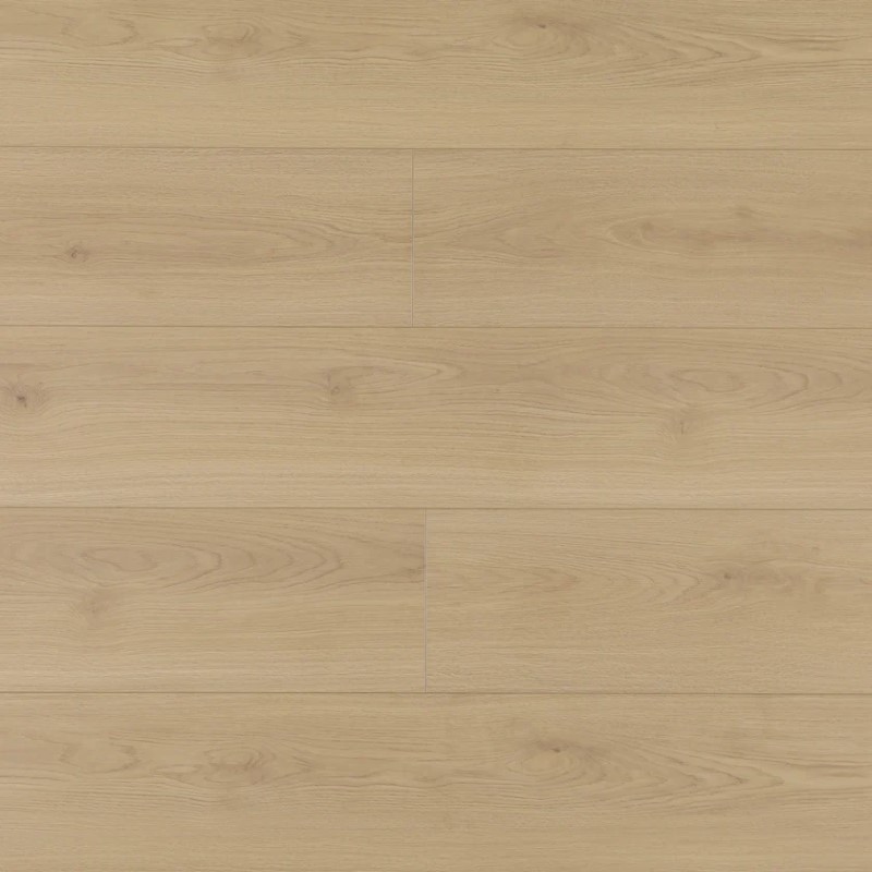 Wilson and Morgan Harmony Series Alto Laminate