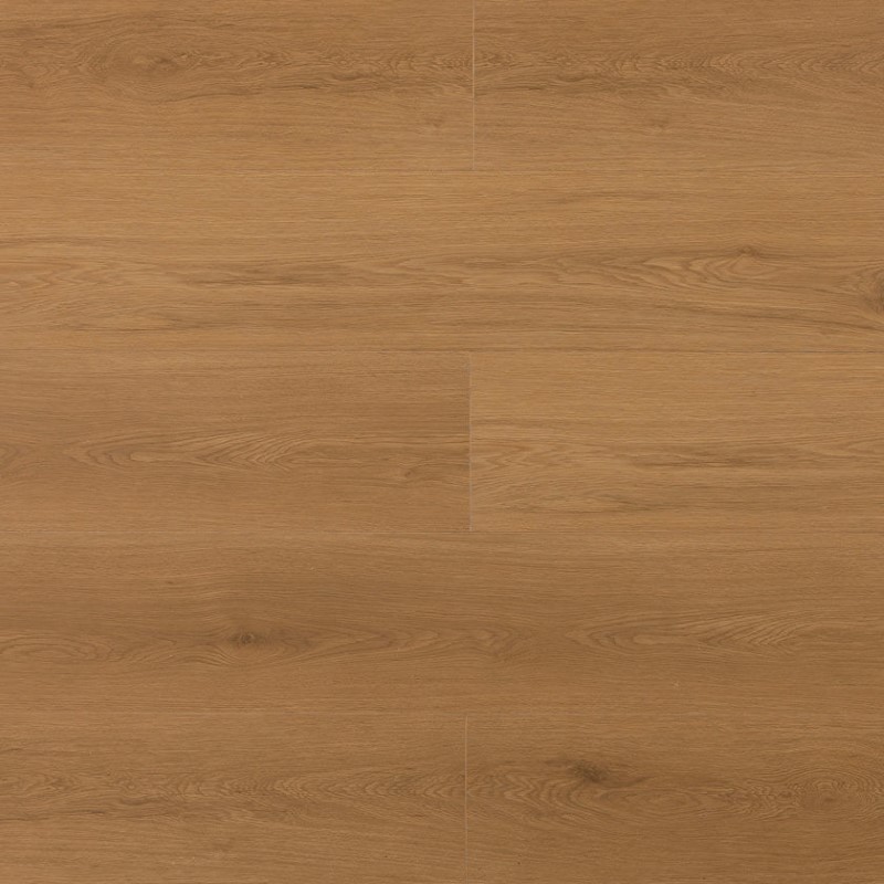 Wilson and Morgan Harmony Series Brim Oak Laminate