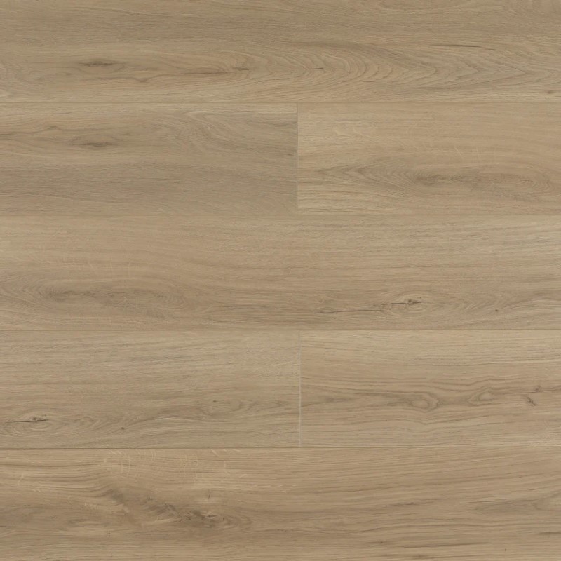 Wilson and Morgan Harmony Series Burken Laminate