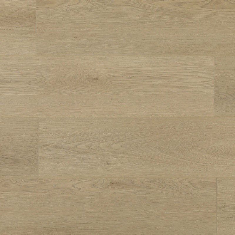 Wilson and Morgan Harmony Series Plata Oak Laminate